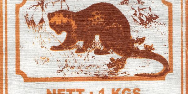 Kopi_Musang